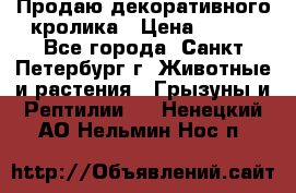 Продаю декоративного кролика › Цена ­ 500 - Все города, Санкт-Петербург г. Животные и растения » Грызуны и Рептилии   . Ненецкий АО,Нельмин Нос п.